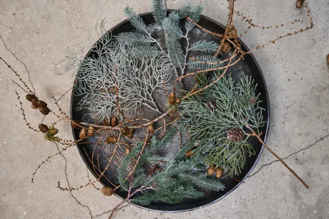 Hovedbilde Ceder gren m/sne og kogler H38cm