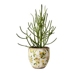 Hovedbilde LEMONA Kruka M, Vit/gr&ouml;n/gul