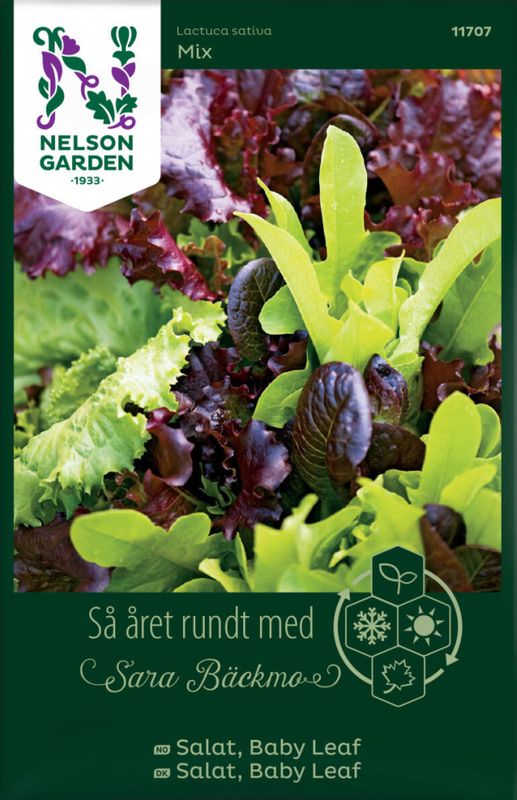 Salat, 'Baby Leaf' mix
