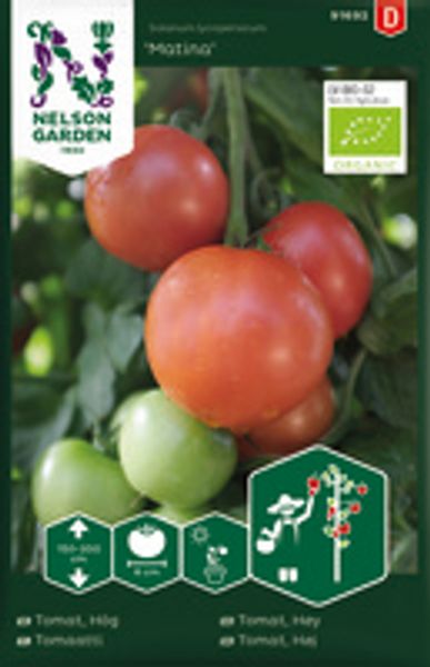 Tomat, Høy, Matina, Organic
