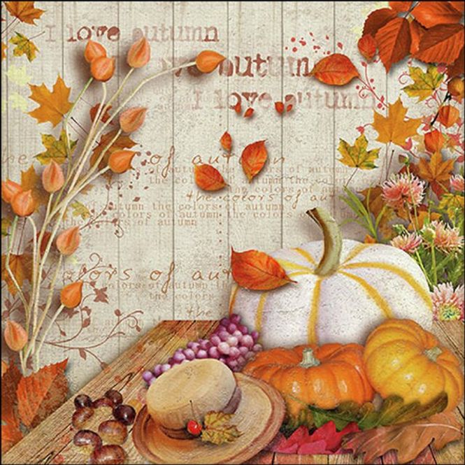 Hovedbilde Napkin Lunsj Colors Of Autumn