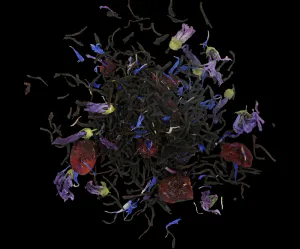 Hovedbilde BASILUR Orient Magic Nights Tin Caddy 100g