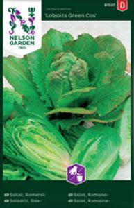 Hovedbilde Salat, Romano-, Lobjoits Green Cos