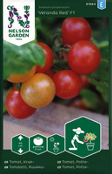 Tomat, Potte-, Veranda Red F1